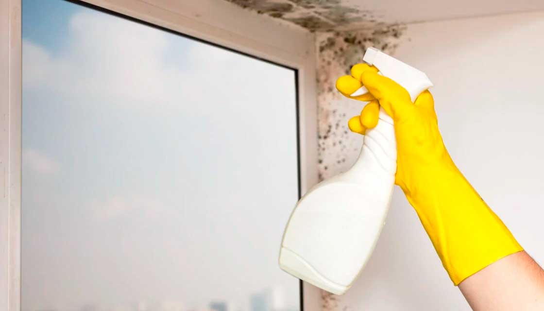 Удаление грибка на пластиковых окнах