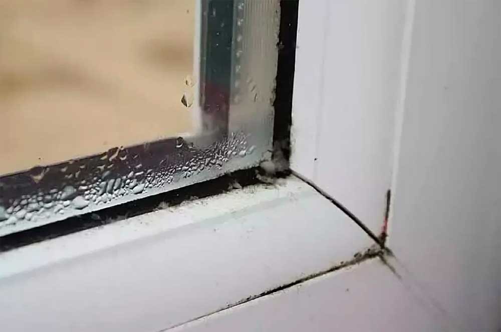 Устранение плесени на окнах пвх